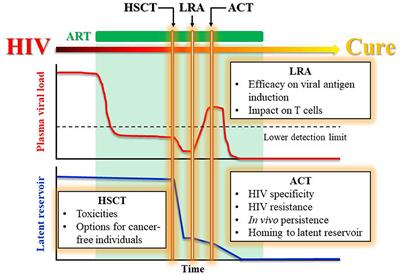 Virus-Specific T Cell Therapies for HIV: Lessons Learned From Hematopoietic Stem Cell Transplantation